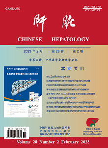 Chinese Hepatolgy